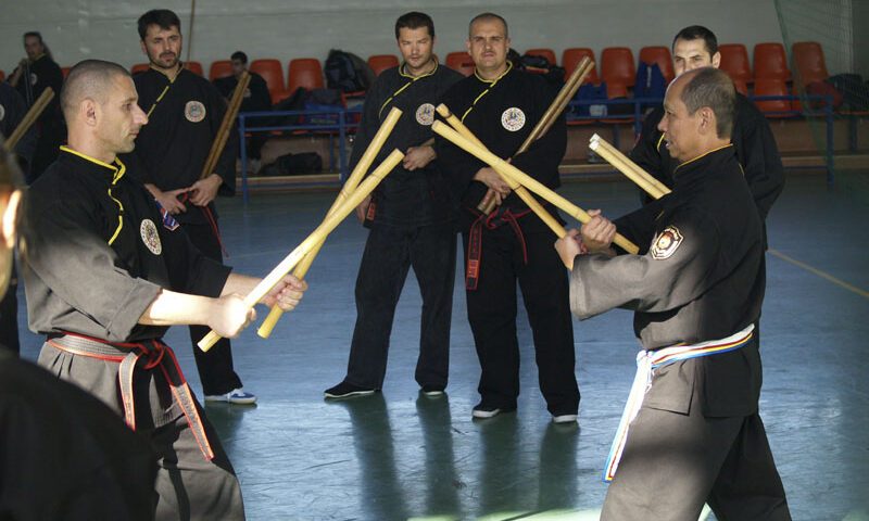 Activitate intensă întru performanţă…